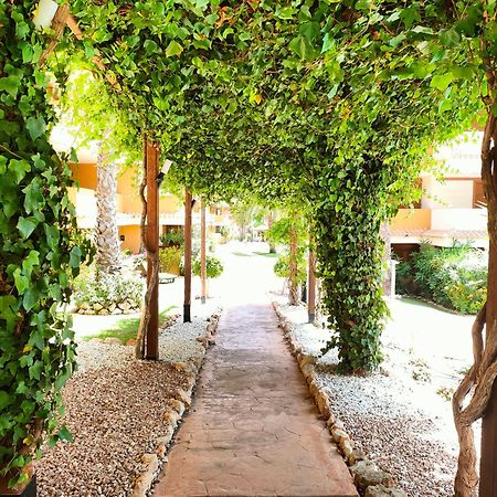 La Entrada Beach Club Torrevieja Kültér fotó