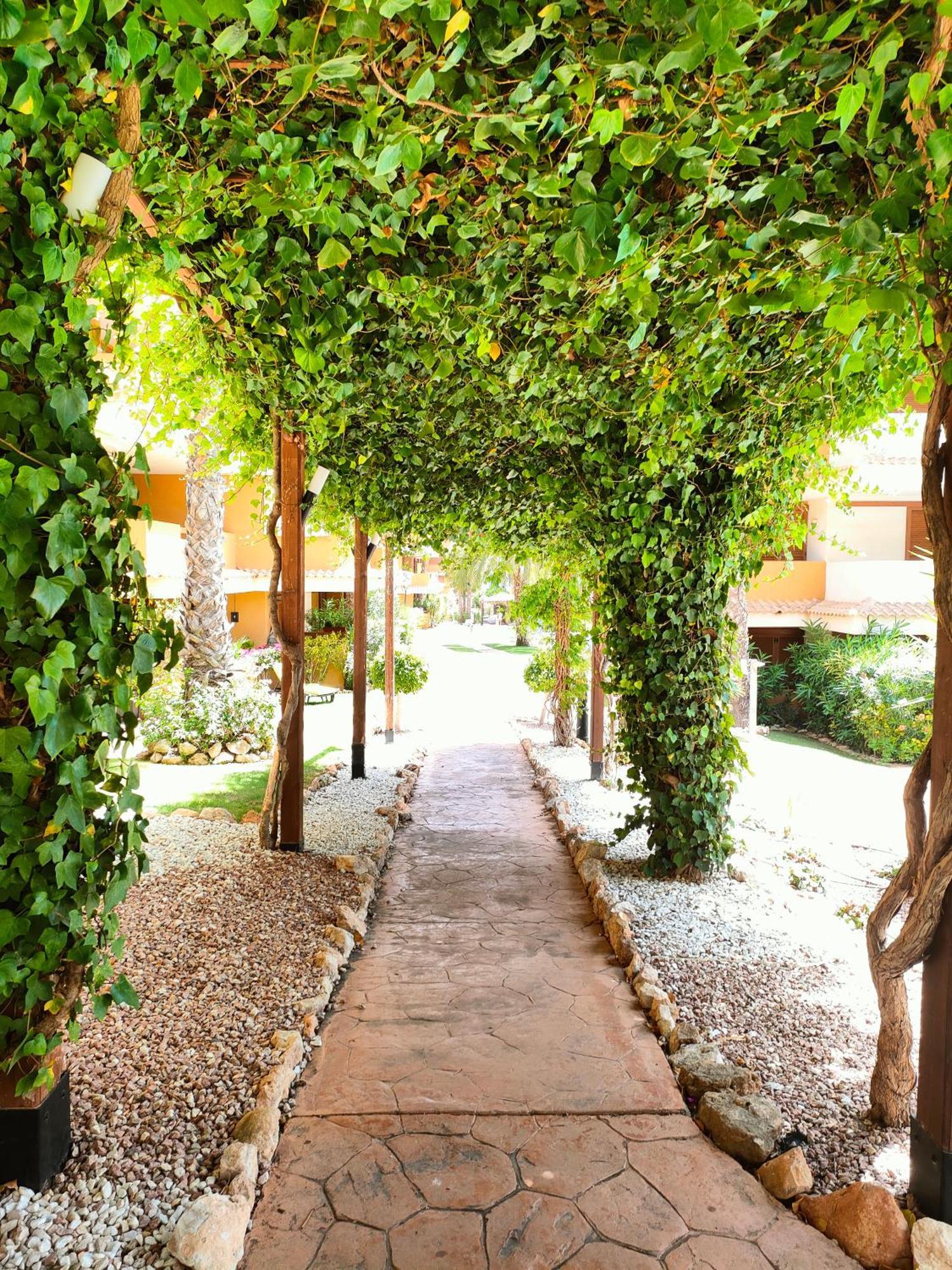La Entrada Beach Club Torrevieja Kültér fotó